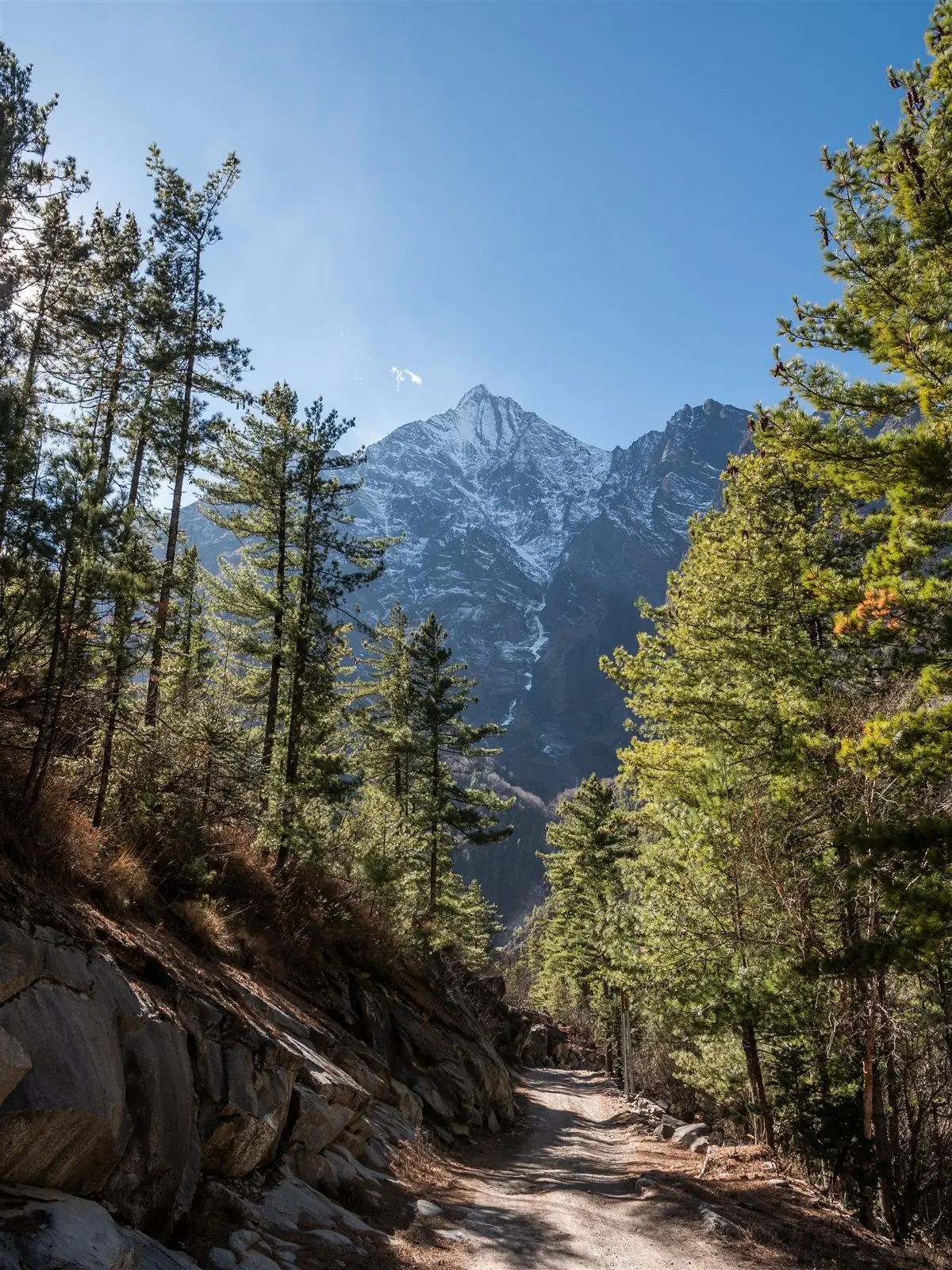 Forest trail below a snow peak in Nepal